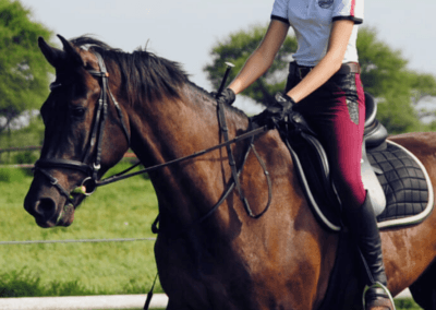 KEC riding school CLUB MEMBERSHIP FEES 1