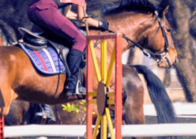 KEC riding school CLUB MEMBERSHIP FEES 13