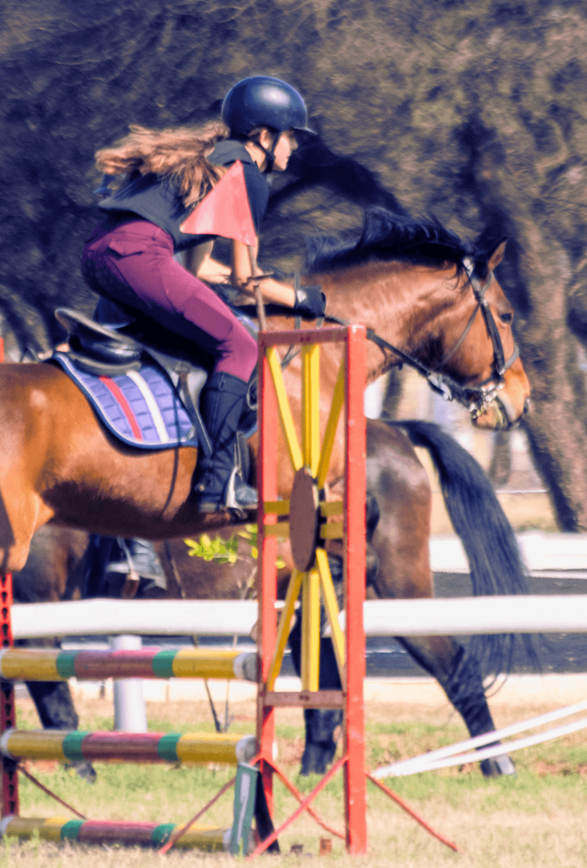 KEC riding school CLUB MEMBERSHIP FEES 13 KEC riding school CLUB MEMBERSHIP FEES 13