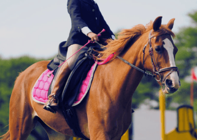 KEC riding school CLUB MEMBERSHIP FEES 16