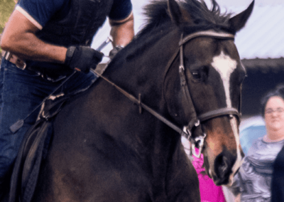 KEC riding school CLUB MEMBERSHIP FEES 2