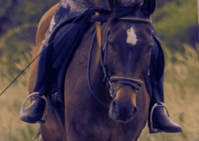 KEC riding school CLUB MEMBERSHIP FEES 3