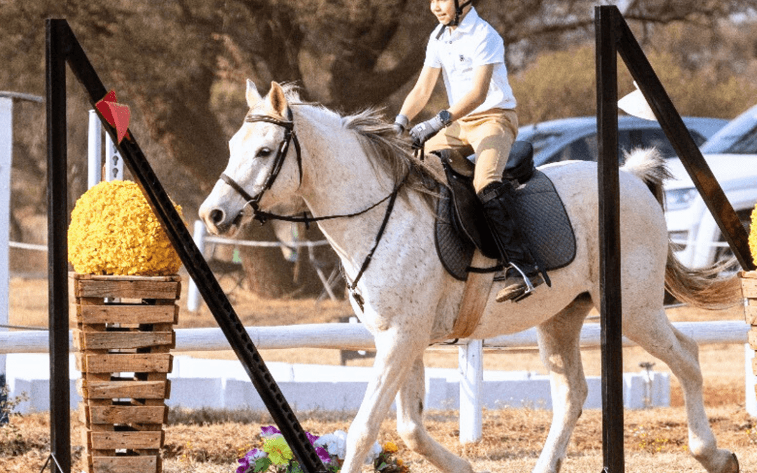 How Do I Begin? Three Options To Riding A Horse