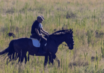KEC riding school WEEKEND LESSONS 22