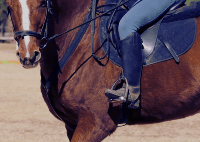 KEC riding school WEEKEND LESSONS 23