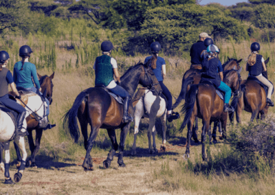 KEC riding school WEEKEND LESSONS 24
