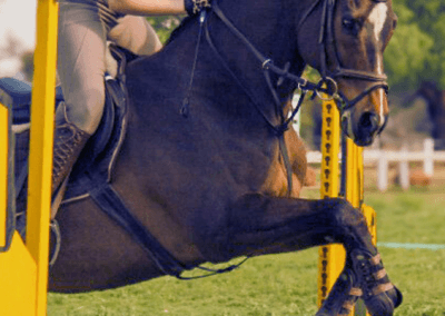KEC riding school WEEKEND LESSONS 25